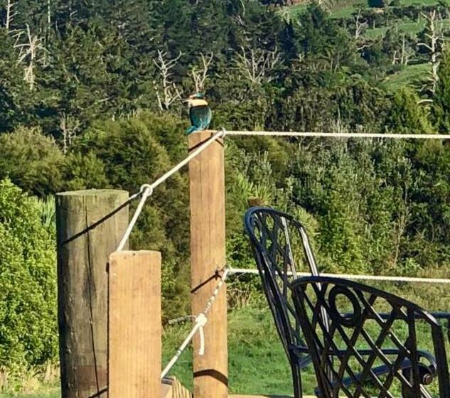 غرفة ديلوكس مطلة على الجبل, Arohanui Rural Retreat B&b