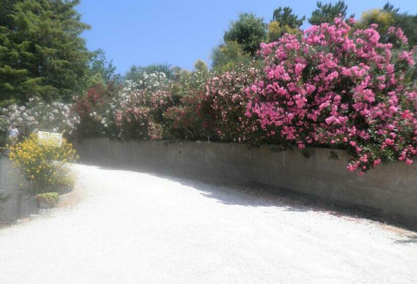 חדר סטנדרט, B&b Severini