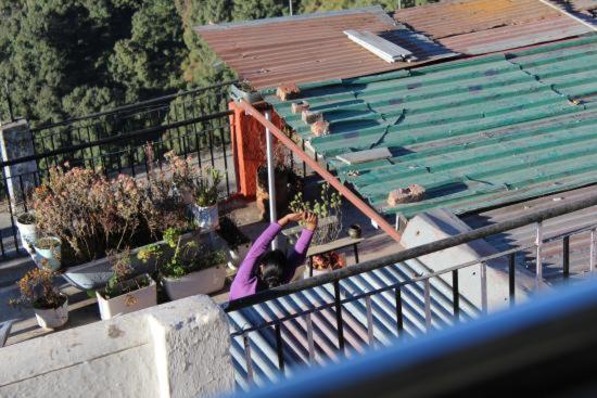 חדר אקונומי, Brite Star