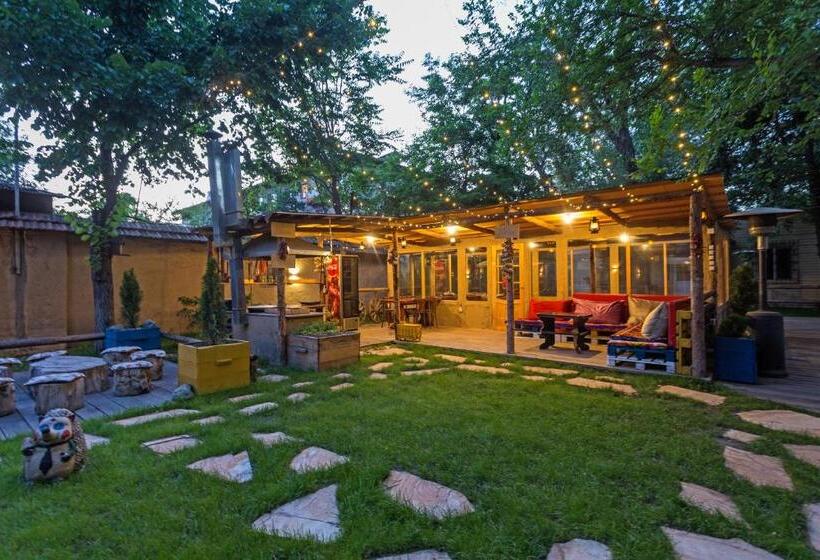 اتاق استاندارد, Koisha