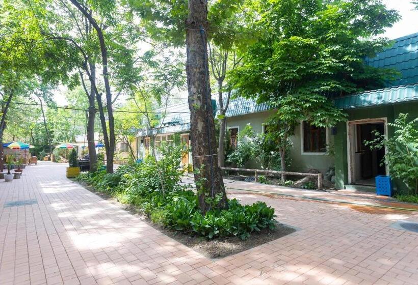 اتاق خانوادگی, Koisha