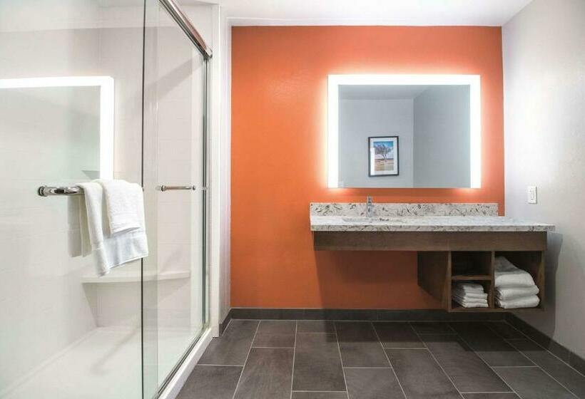 Стандартный Номер Кровать Кинг, La Quinta By Wyndham Waco Baylor Downtown