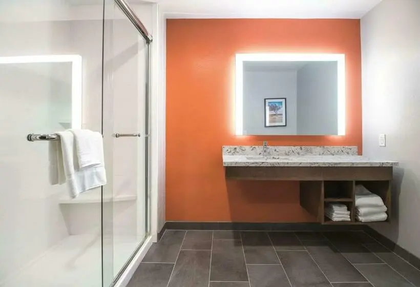 キングサイズベッドのスタンダードルーム, La Quinta By Wyndham Waco Baylor Downtown