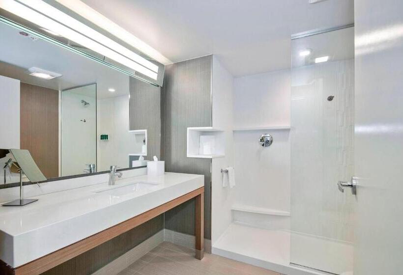 اتاق استاندارد با تخت بزرگ, Courtyard By Marriott Raleigh Cary/parkside Town Commons