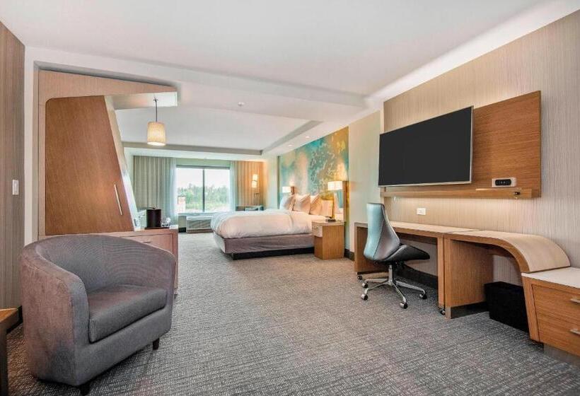 سوئیت با تخت بزرگ, Courtyard By Marriott Raleigh Cary/parkside Town Commons