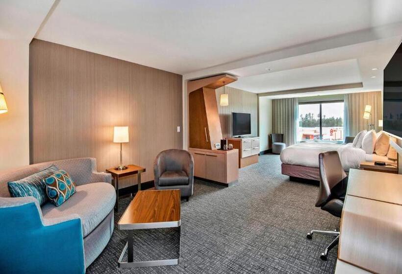 سوئیت با تخت بزرگ, Courtyard By Marriott Raleigh Cary/parkside Town Commons