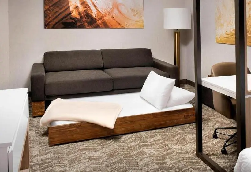 クイーンサイズベッドのスイートルーム, Springhill Suites By Marriott Punta Gorda Harborside