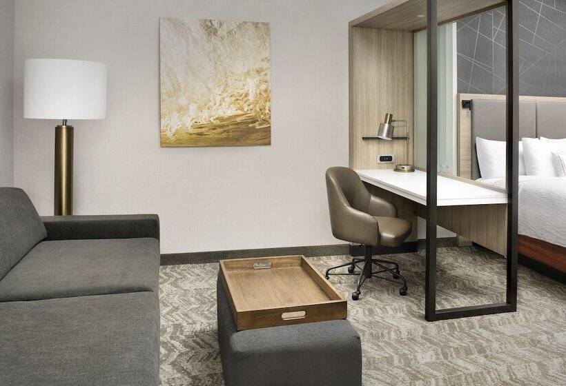 スイート, Springhill Suites By Marriott Punta Gorda Harborside