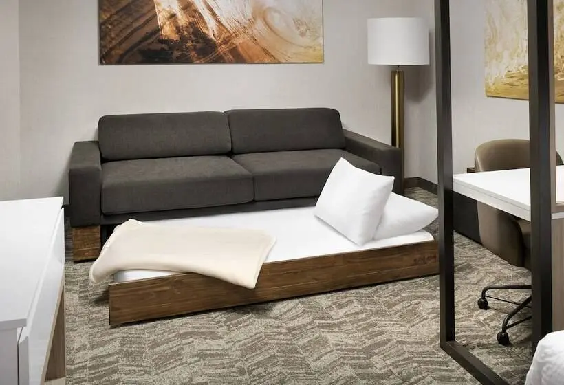 身障者適用スイートルーム, Springhill Suites By Marriott Punta Gorda Harborside