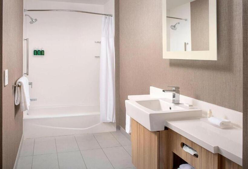 Suite King Size Seng, Springhill Suites By Marriott Punta Gorda Harborside