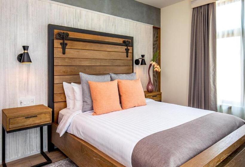 스탠다드 룸, 1868