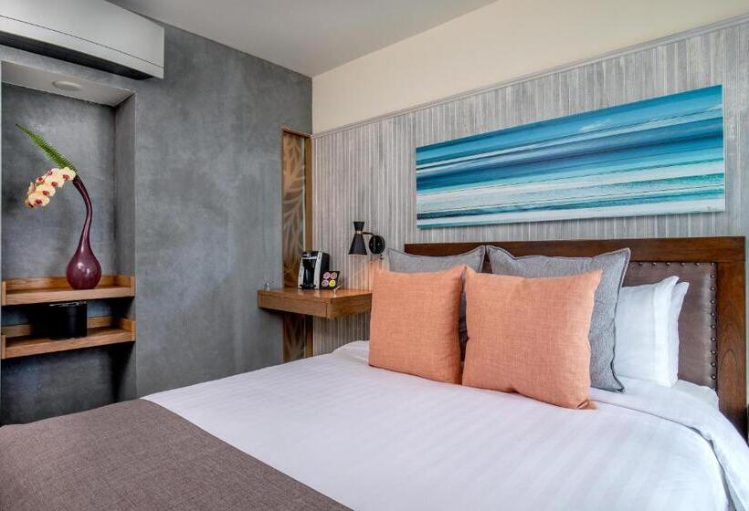 이코노미 룸, 1868