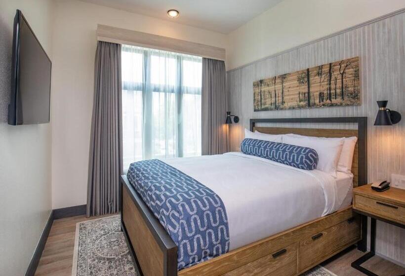 이코노미 룸, 1868