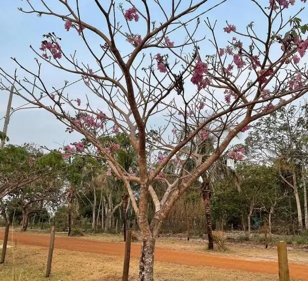 ファミリールーム, Pousada E Restaurante Valle Dos Ventos