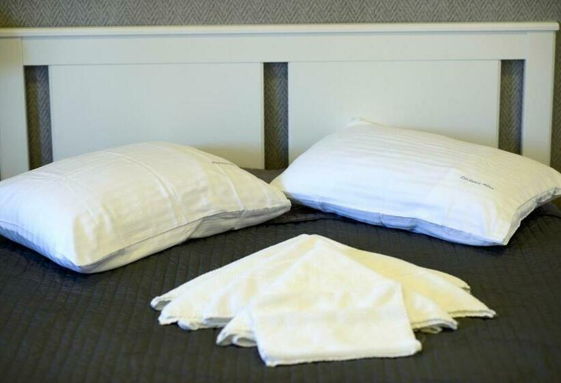 标准间内部标间, Pensiunea Alina Adults Only