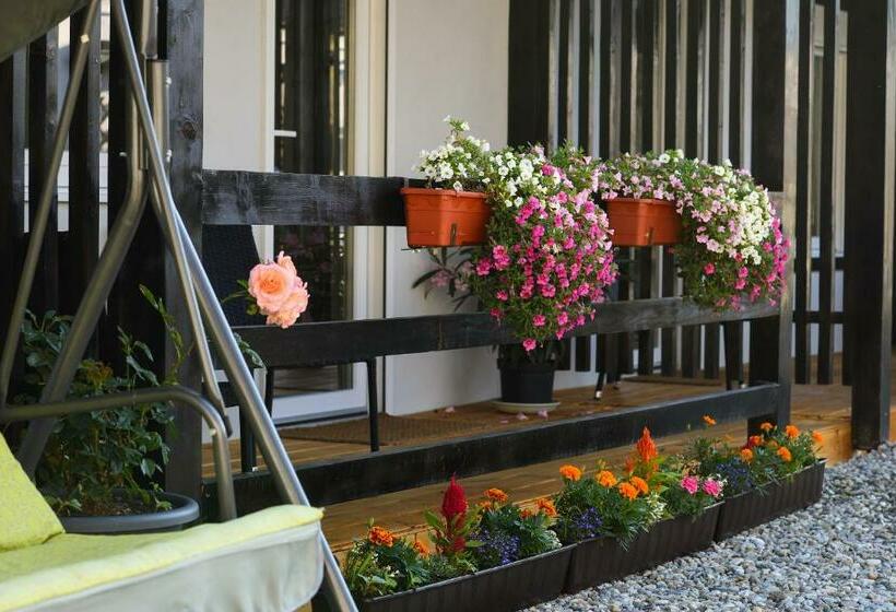 标准间内部标间, Pensiunea Alina Adults Only