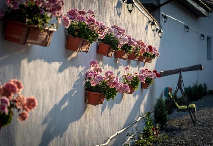 标准间内部标间, Pensiunea Alina Adults Only