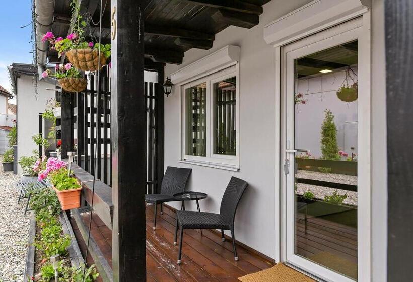 标准间内部标间, Pensiunea Alina Adults Only