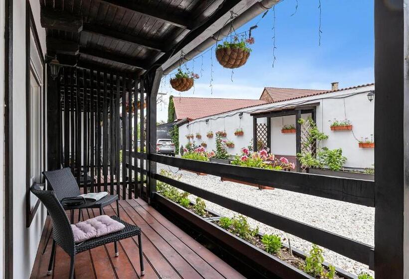 标准间内部标间, Pensiunea Alina Adults Only