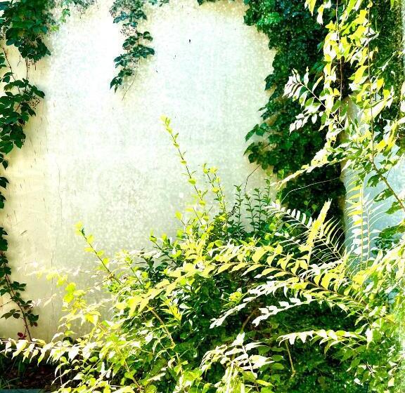 Люкс с гидромассажем, Vangen