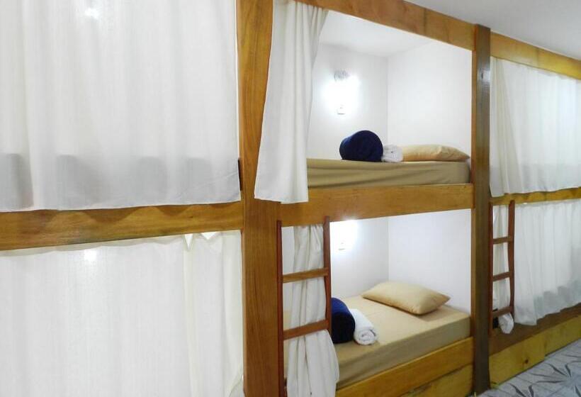 패밀리 룸 공용 욕실, Utopia Hostel