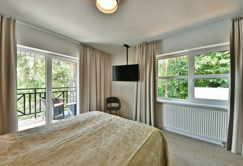 اتاق لوکس با بالکن, Seklytele Apartments