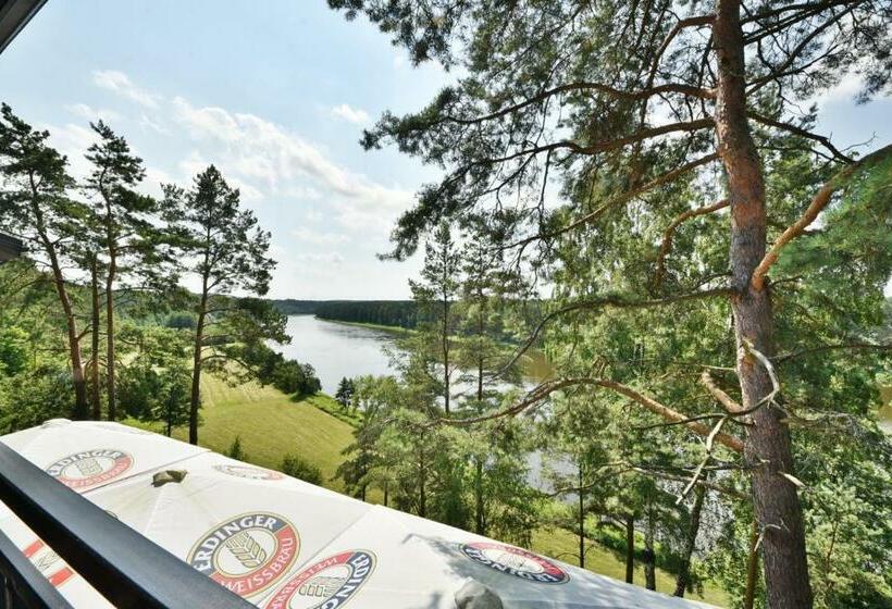 اتاق لوکس با بالکن, Seklytele Apartments