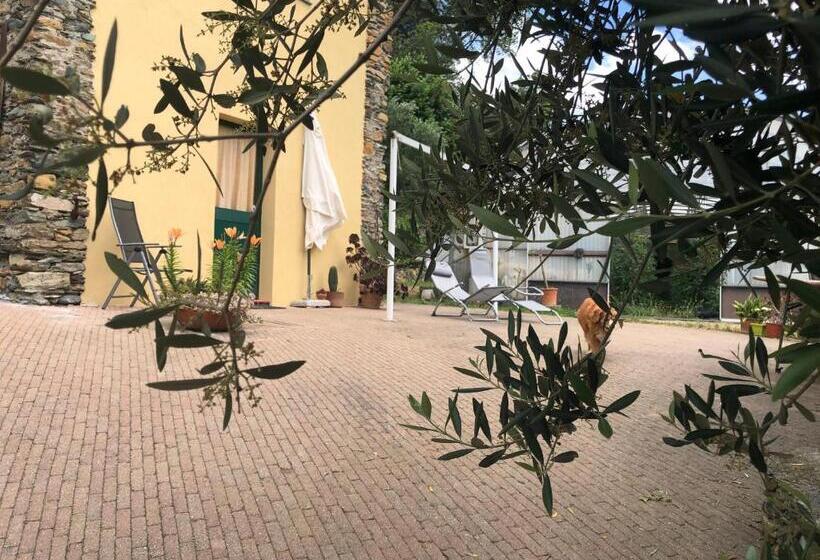 스탠다드 스튜디오, Agriturismo Argentea