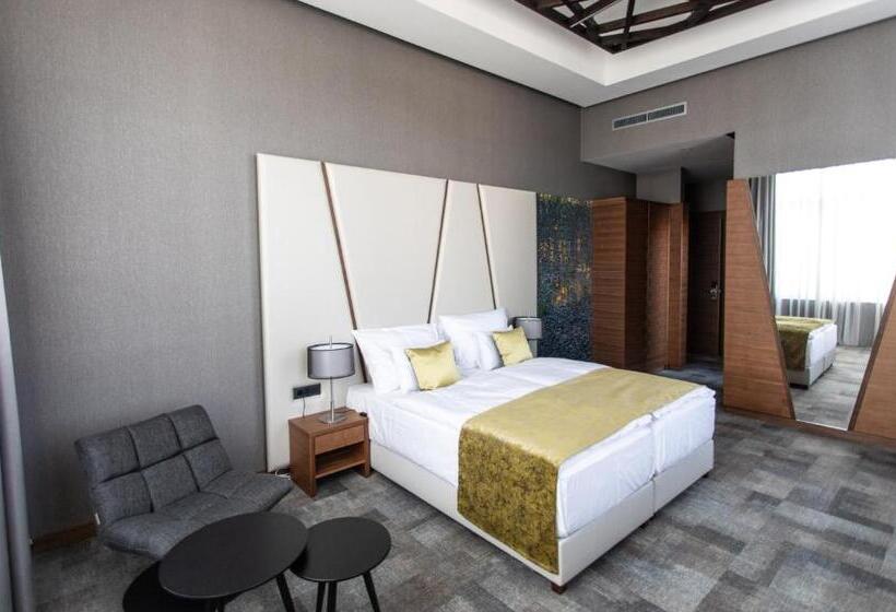 수피리어 룸 도시 전망, Artis Boutique