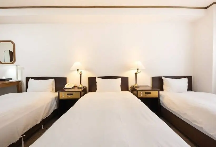Standard Kolmen Hengen Huone, Tabist Hotel New Washington Shibuya