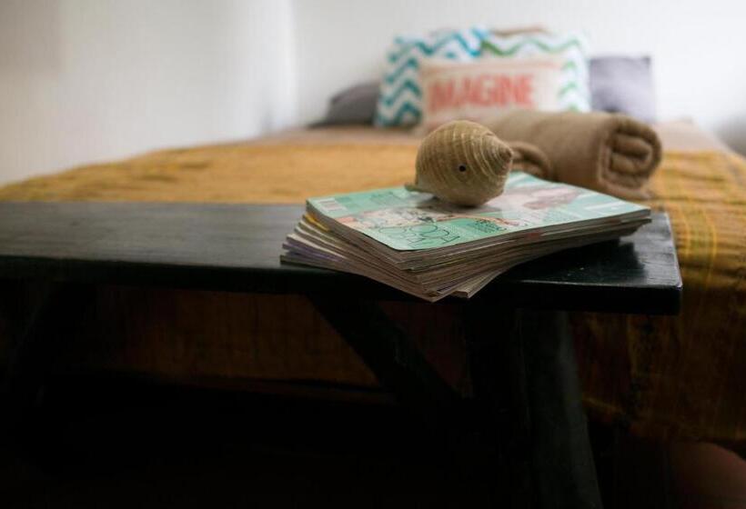 اتاق استاندارد, Casa Del Sol