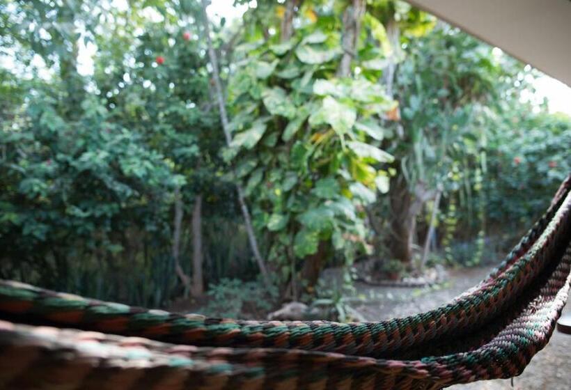 اتاق استاندارد, Casa Del Sol