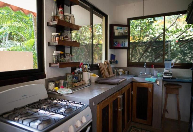 اتاق استاندارد, Casa Del Sol