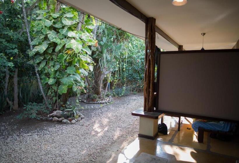 اتاق استاندارد, Casa Del Sol