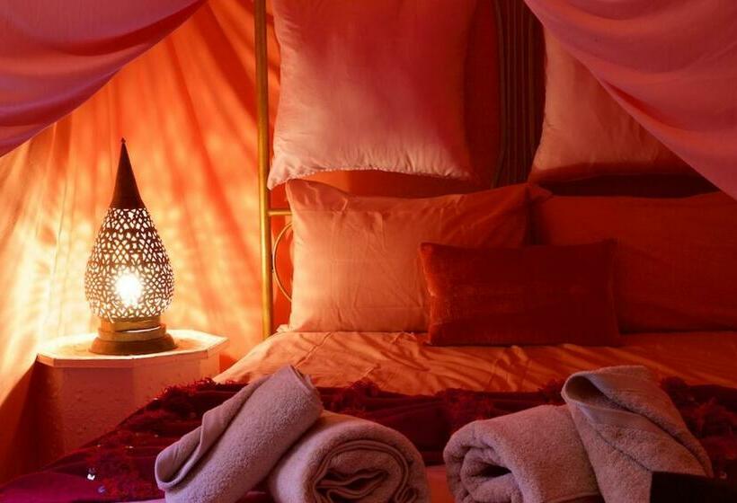 اتاق لوکس, The Bohemian Jungle