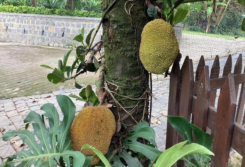 ویلای یک اتاق خوابه با استخر شنا, Villa Chezsoa, Antananarivo