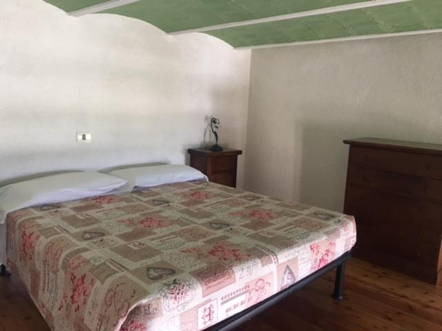 ドゥプレックスルーム, Setterhouseagri