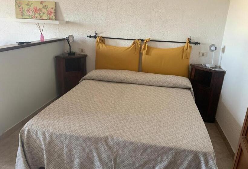 스탠다드 스튜디오, Setterhouseagri