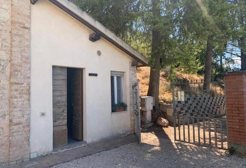 استودیوی استاندارد, Setterhouseagri