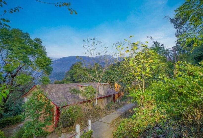 سوییت با چشم‌انداز کوه, Lahermitage Resort