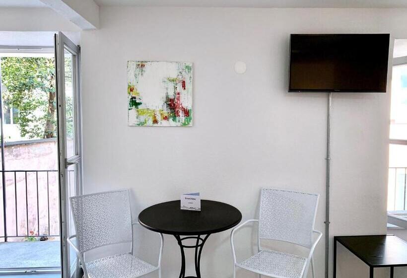شقة سوبريور غرفة واحدة, Great2stay City Center Apartments Locarno