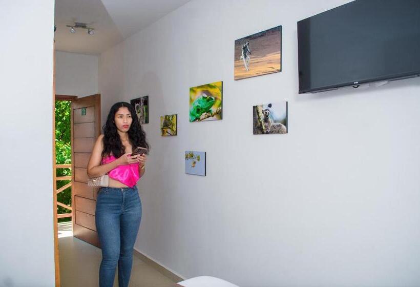 اتاق استاندارد با چشمانداز استخر, Ikopa Hôtel Madagascar