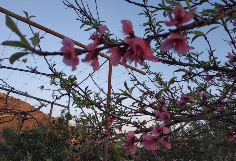 1 Sovrums Lägenhet Trädgårdutsikt, Belvedere Adriatica
