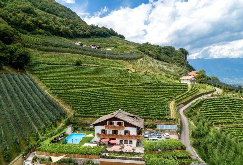 חדר סטנדרט, Niederhof Life