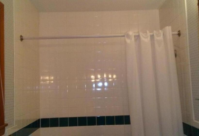 חדר סטנדרט יחיד, Catskill Motor Court Motel