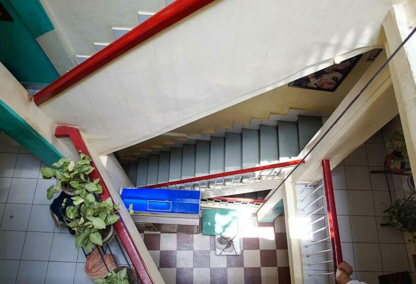 标准间, Brown Bread Bakery Guest House