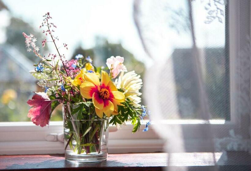 Pokój Standard Widok Ogród, Drumfearne Guesthouse & Tearoom