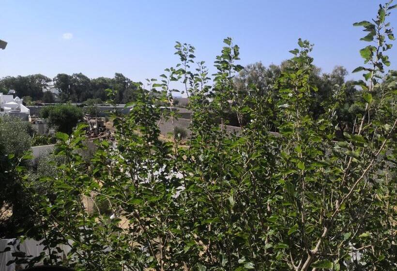 带2个卧室的公寓, L'hirondelle De Kelibia : Chez Amou