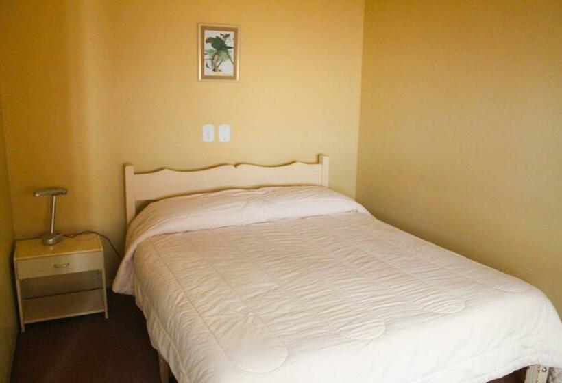 스탠다드 룸, Platanus