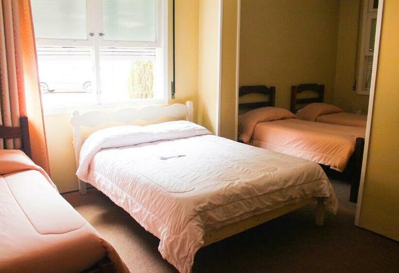 4인용 스탠다드 룸, Platanus